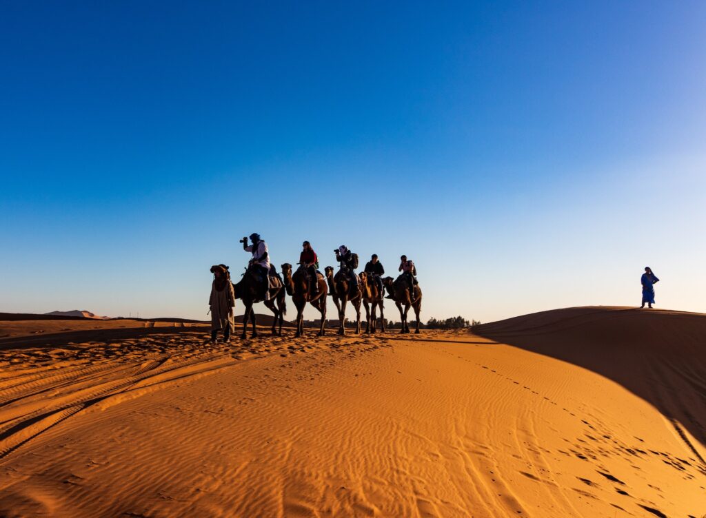 Explore the Sahara Desert