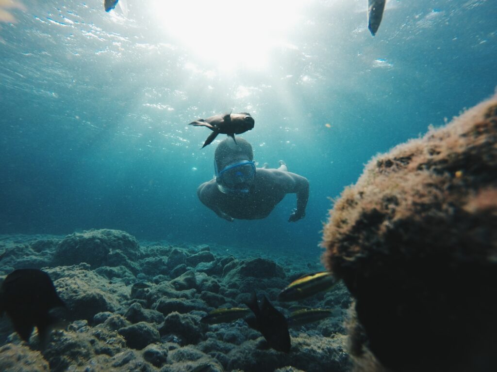 Diving is also common during June